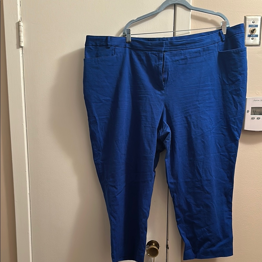Lane Bryant Blue Ankle Pants